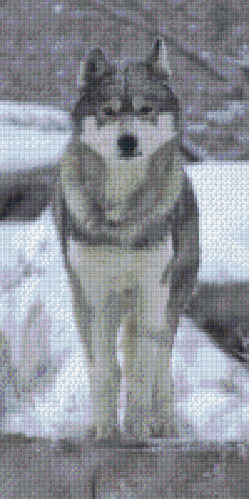 Wolf In Snow Ten [10] Baseplates PixelHobby Mini-mosaic Art Kit